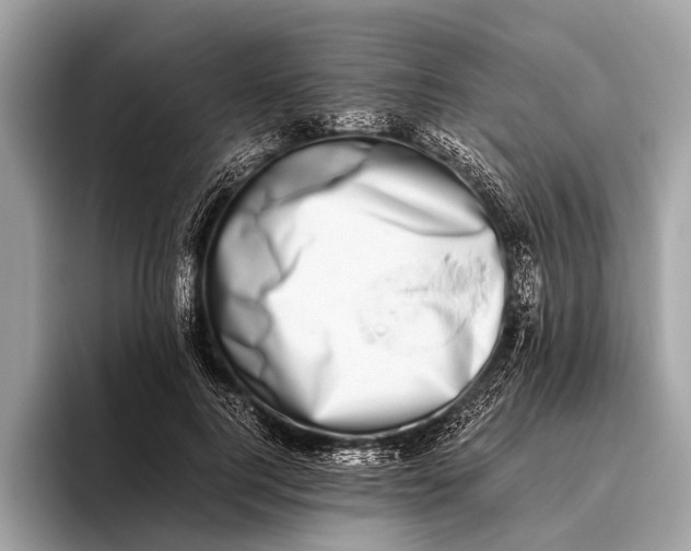 X0000095910744200801251009