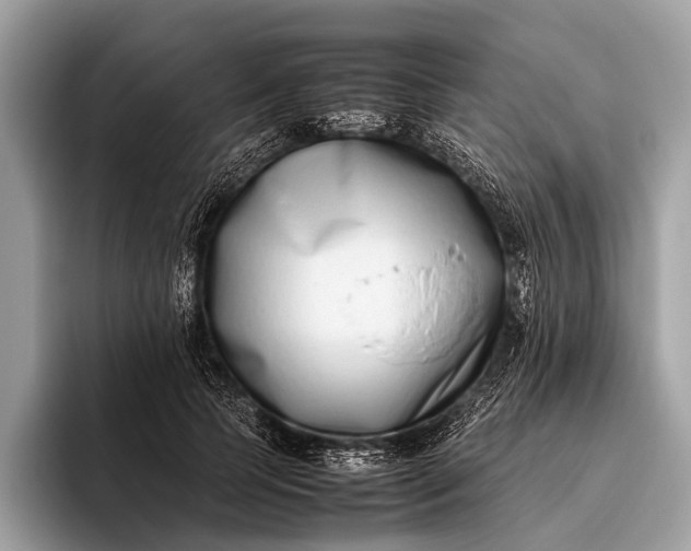 X0000095910745200801251009