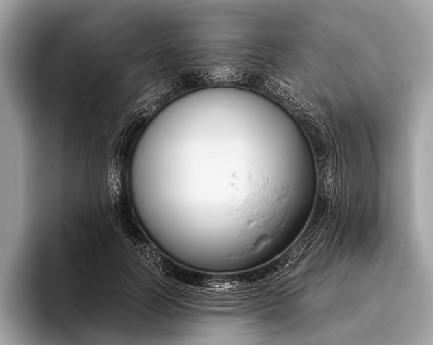 X0000095910746200801251009