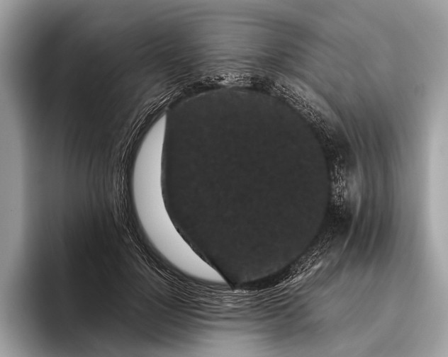 X0000095910748200801251009