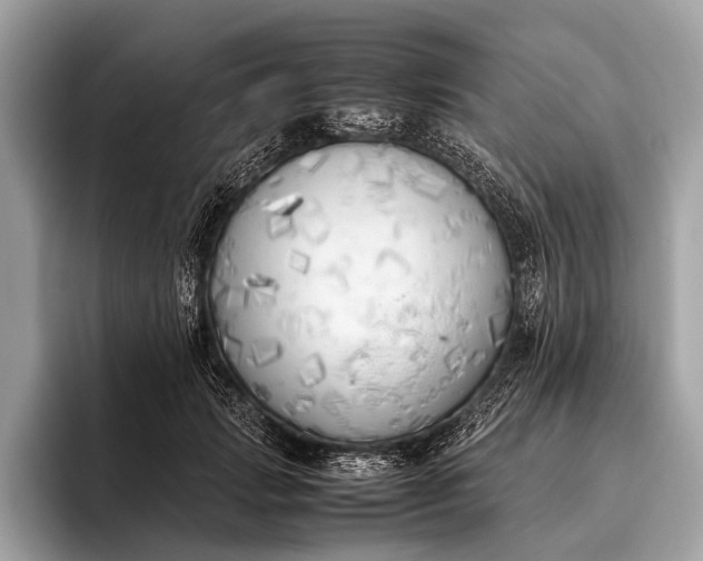 X0000095910749200801251009