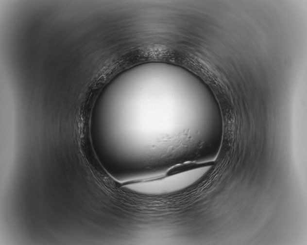 X0000095910750200801251009