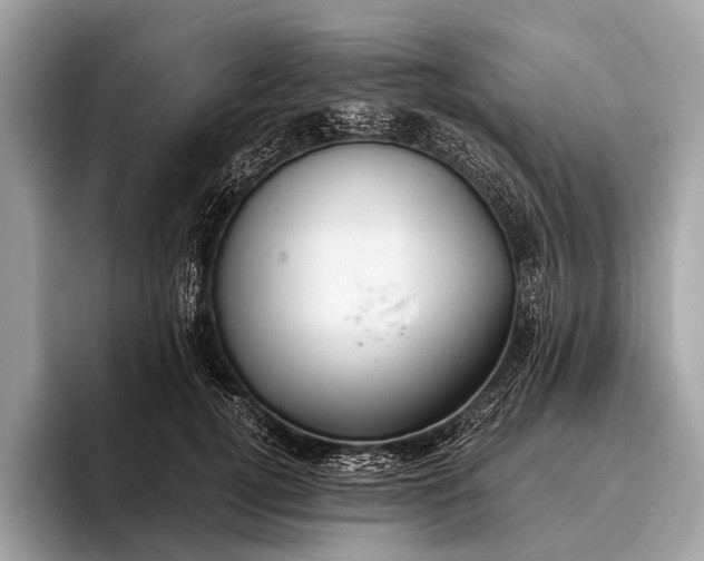 X0000095910752200801251009