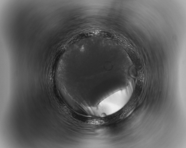 X0000095910754200801251009