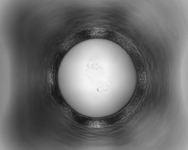 X0000095910755200801251009