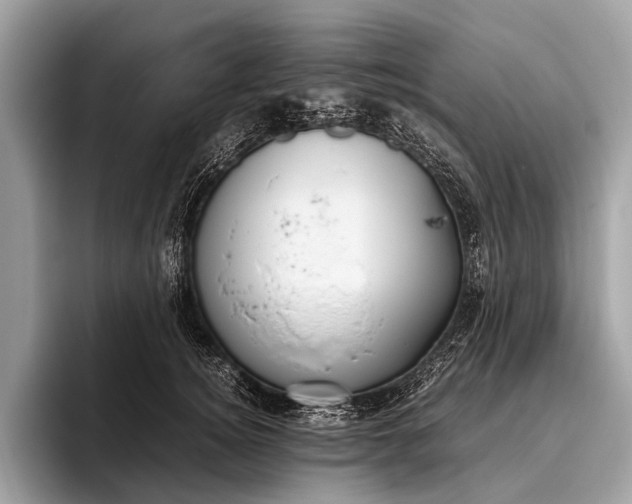 X0000095910756200801251009