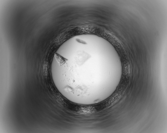 X0000095910757200801251010