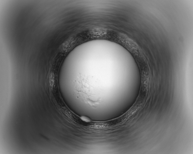 X0000095910758200801251010