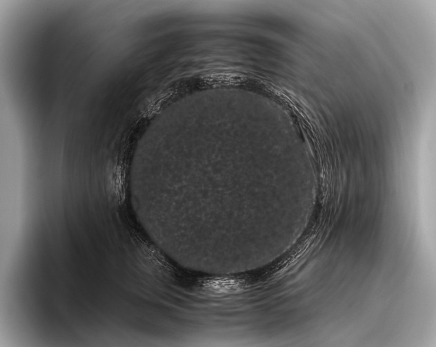 X0000095910759200801251010