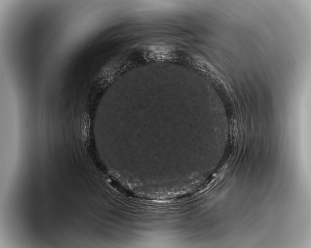 X0000095910760200801251010