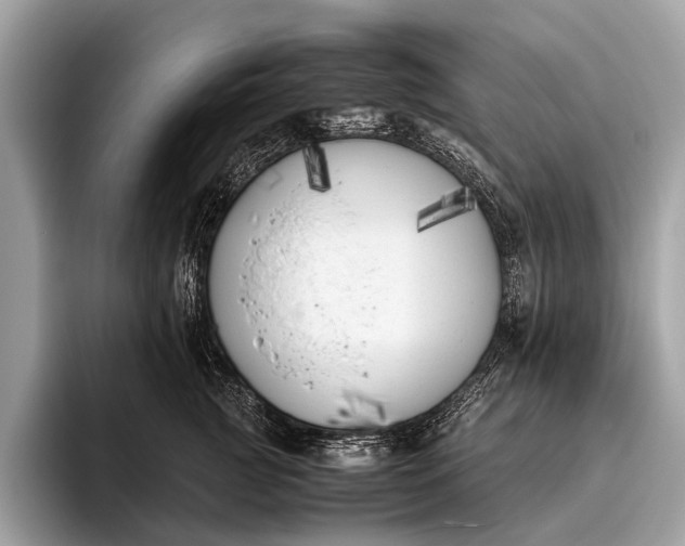 X0000095910761200801251010