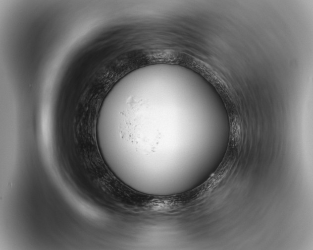 X0000095910764200801251010