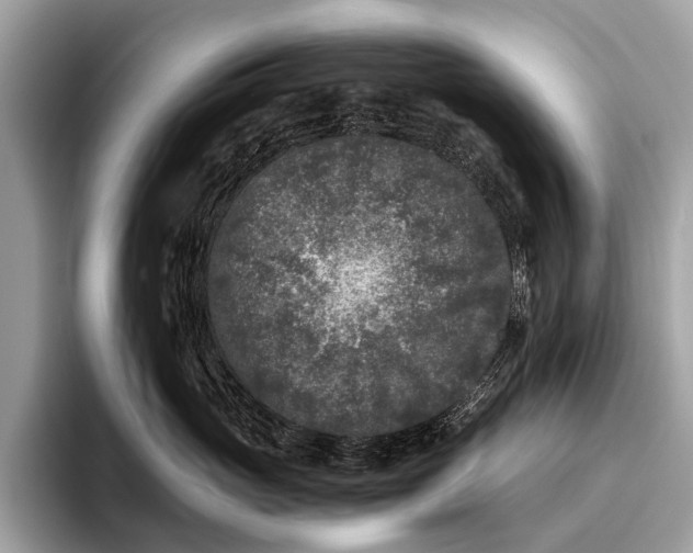 X0000095910765200801251010