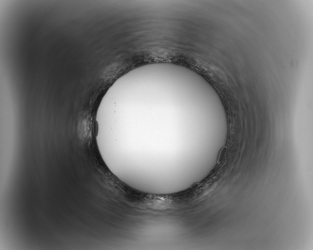 X0000095910768200801251010