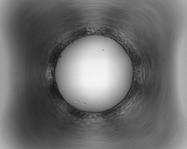 X0000095910770200801251009