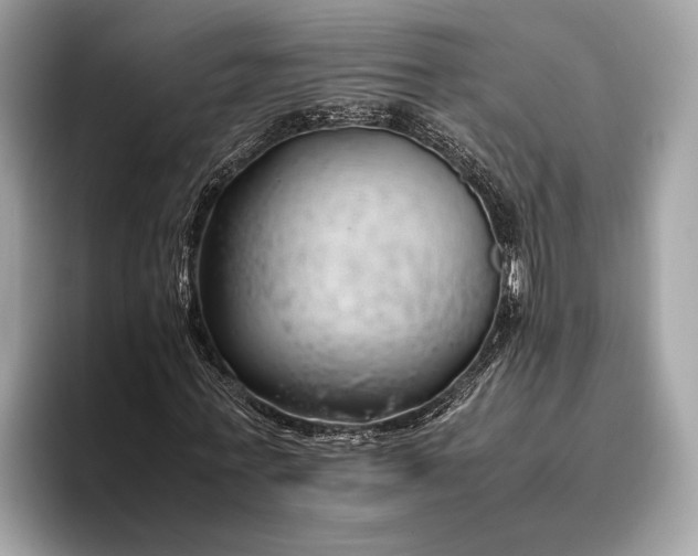 X0000095910771200801251009