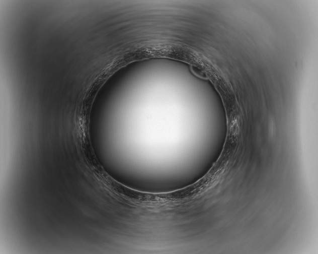 X0000095910772200801251009