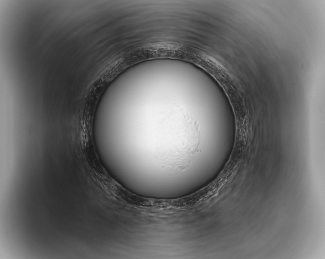 X0000095910774200801251009