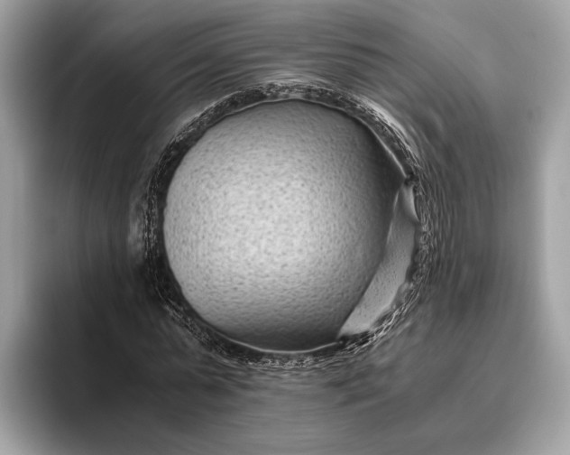 X0000095910775200801251009