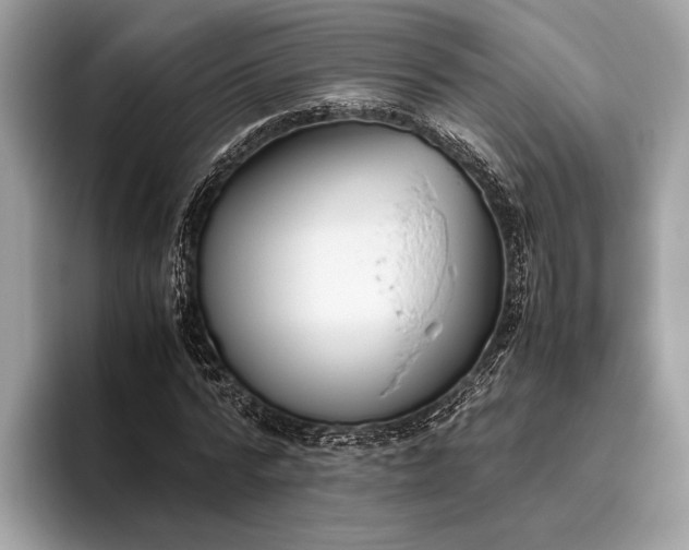 X0000095910776200801251009