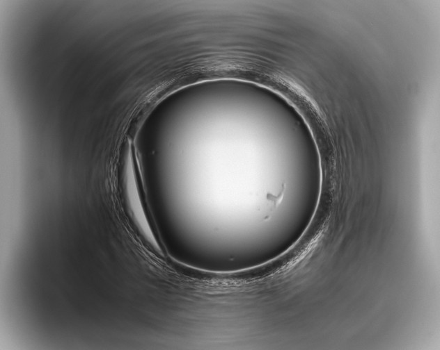 X0000095910777200801251009