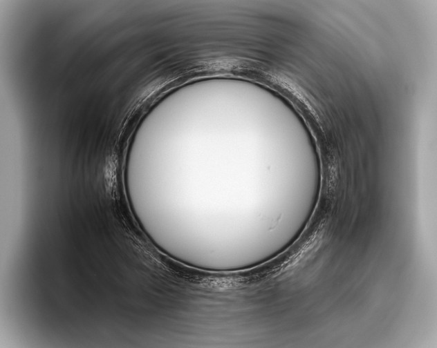 X0000095910778200801251009