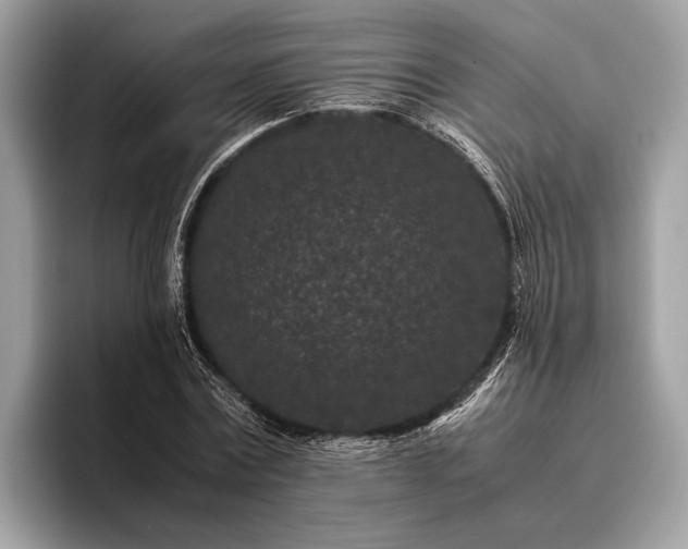 X0000095910779200801251009