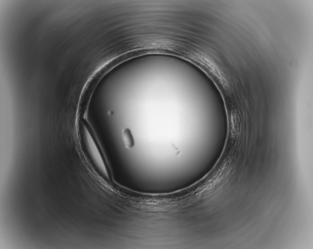 X0000095910780200801251009