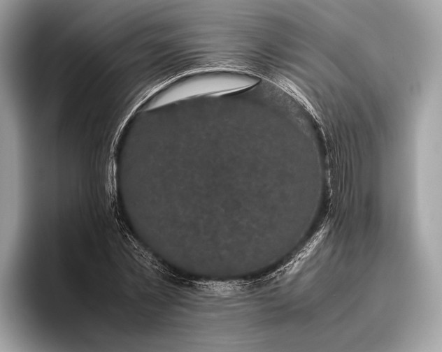 X0000095910781200801251009