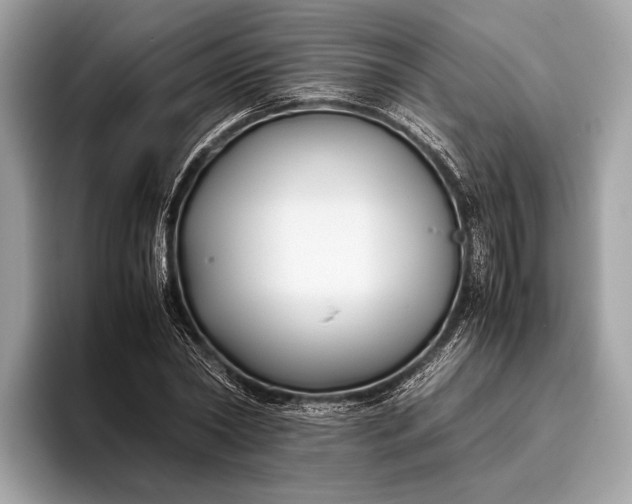 X0000095910782200801251009