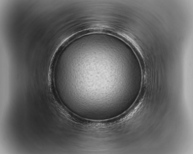 X0000095910783200801251009