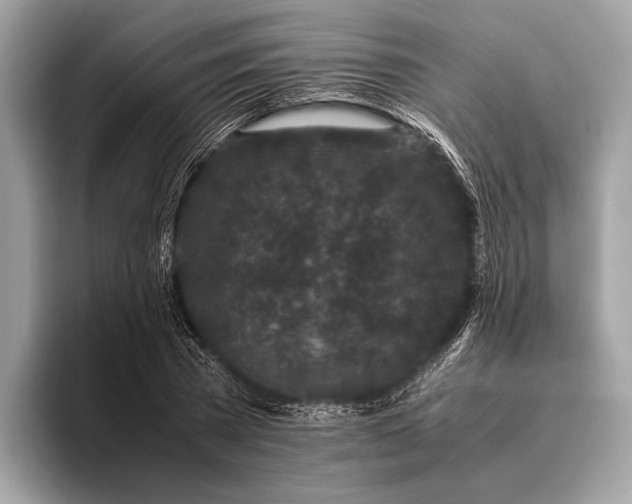 X0000095910785200801251009