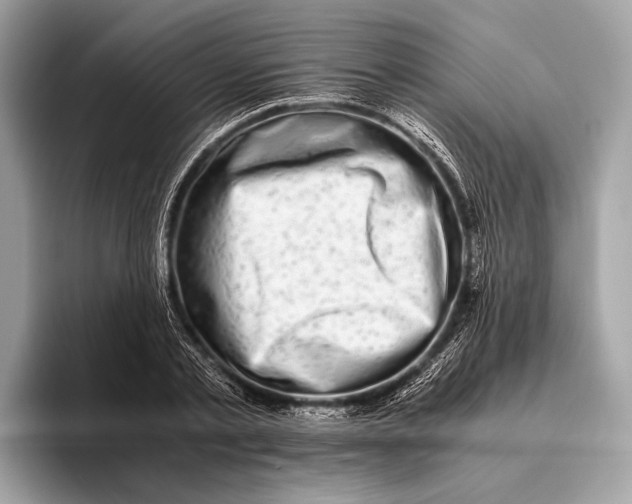 X0000095910789200801251009