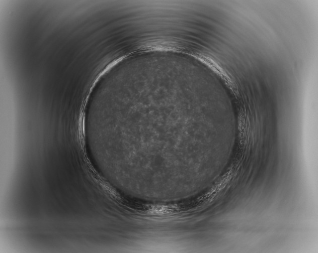 X0000095910790200801251009