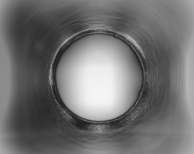 X0000095910791200801251009