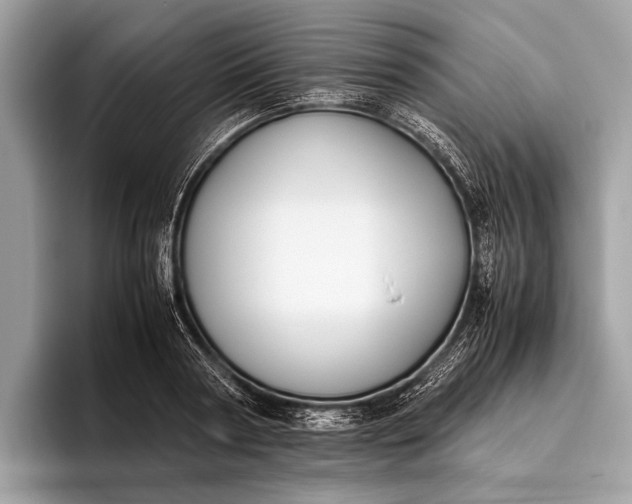 X0000095910794200801251009