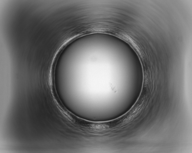 X0000095910795200801251009