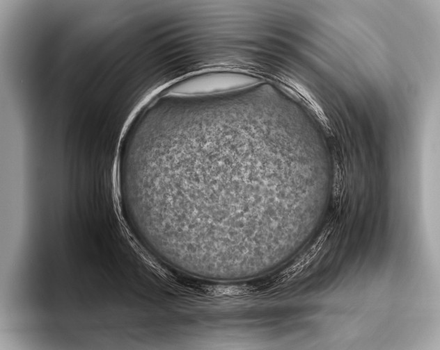 X0000095910796200801251009