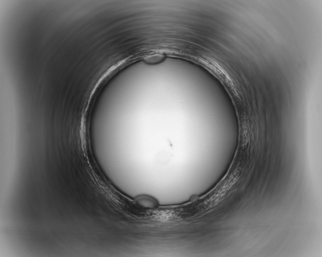 X0000095910798200801251009