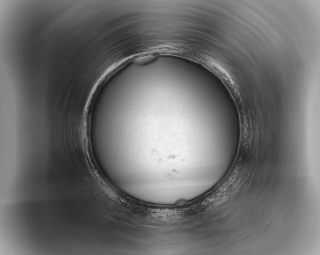 X0000095910800200801251009