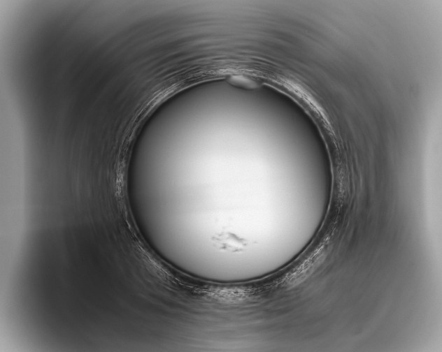 X0000095910801200801251009