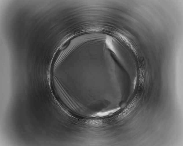 X0000095910802200801251009