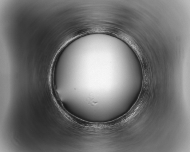 X0000095910803200801251009