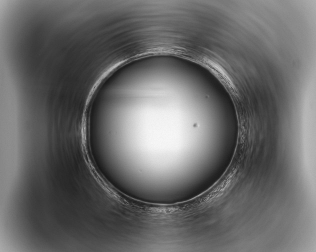 X0000095910804200801251009