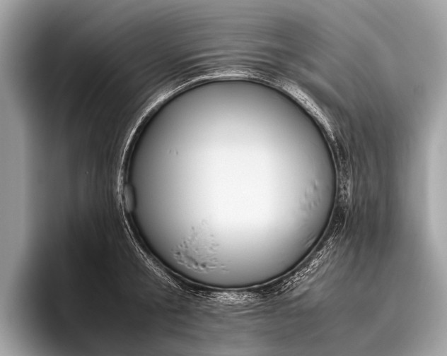 X0000095910805200801251009