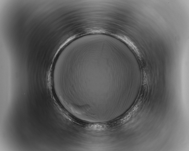 X0000095910806200801251009