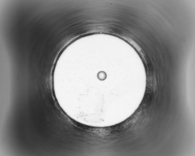 X0000095910807200801251009