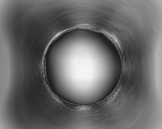 X0000095910808200801251009