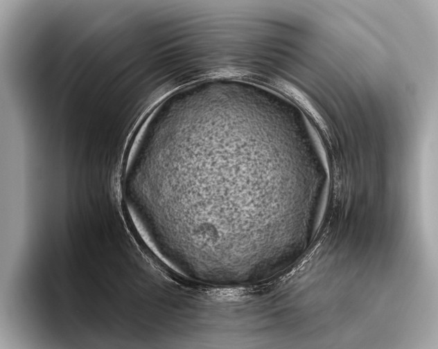 X0000095910810200801251008