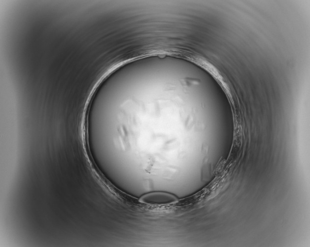 X0000095910811200801251008